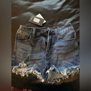 Size 3 Fashion Nova Denim Shorts